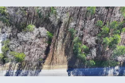 29 Saratoga Drive, Rydal, GA 30171 - Photo 1