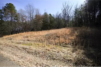 29 Saratoga Drive, Rydal, GA 30171 - Photo 3