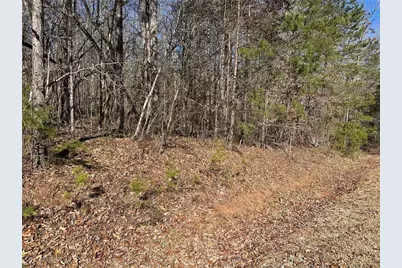 275 Shore Crest Drive, Martin, GA 30557 - Photo 1