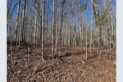 275 Shore Crest Drive, Martin, GA 30557 - Photo 5