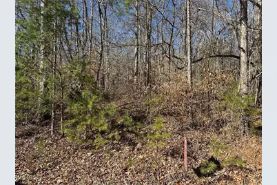 275 Shore Crest Drive, Martin, GA 30557 - Photo 9