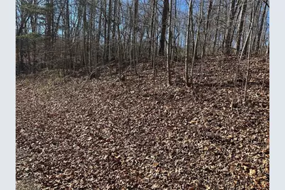 275 Shore Crest Drive, Martin, GA 30557 - Photo 7