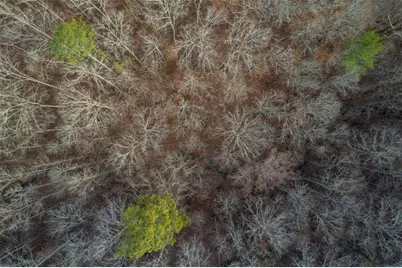 Lt 186 Shelter Cove Trl, Talking Rock, GA 30175 - Photo 13