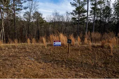 Lt 186 Shelter Cove Trl, Talking Rock, GA 30175 - Photo 7