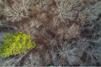 Lt 186 Shelter Cove Trl, Talking Rock, GA 30175 - Photo 19