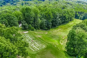 29 Long Swamp Dr, Jasper, GA 30143 - Photo 89