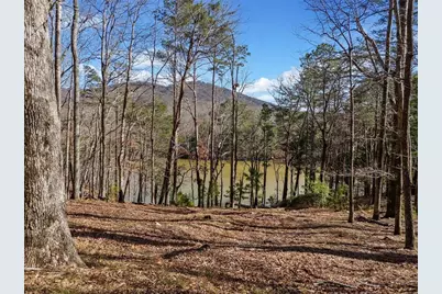 29 Long Swamp Drive, Jasper, GA 30143 - Photo 53