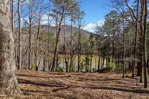 29 Long Swamp Dr, Jasper, GA 30143 - Photo 53