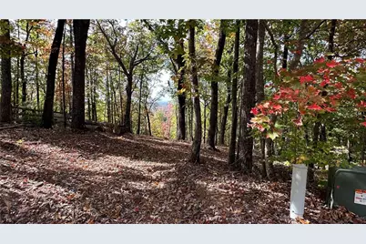 Lot 28 Long Mountain Road, Cleveland, GA 30528 - Photo 15