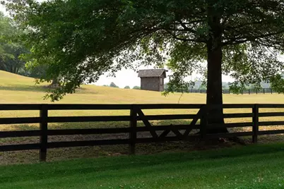 123 Woodhaven Lane, Ball Ground, GA 30107 - Photo 5