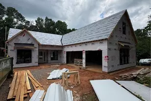 542 Palm St, Holly Springs, GA 30115 - Photo 15