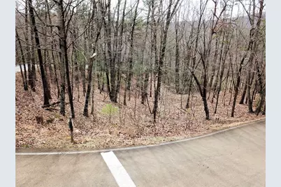 2784 Summit Drive, Big Canoe, GA 30143 - Photo 5