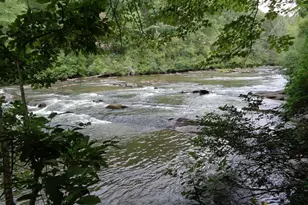 223 Novena Ct, Ellijay, GA 30540 - Photo 3