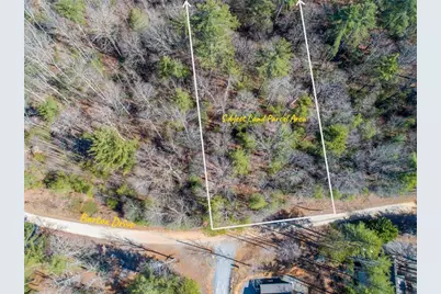 0 Bartox Drive, Ellijay, GA 30540 - Photo 9