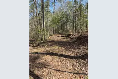 0 Bartox Drive, Ellijay, GA 30540 - Photo 31