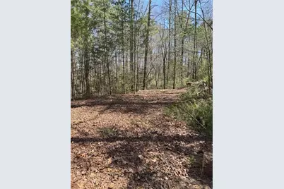 0 Bartox Drive, Ellijay, GA 30540 - Photo 29