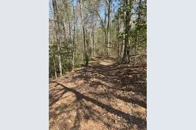 0 Bartox Drive, Ellijay, GA 30540 - Photo 25