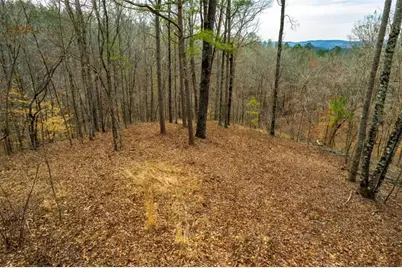 Lot 44 Bucktail Way, Talking Rock, GA 30175 - Photo 9