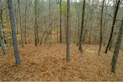 Lot 44 Bucktail Way, Talking Rock, GA 30175 - Photo 11