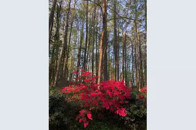 2095 Shallowford Park Manor, Roswell, GA 30075 - Photo 43