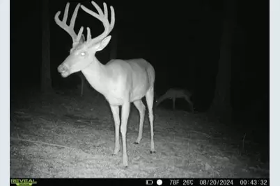 424 Cable Road, Waleska, GA 30183 - Photo 61