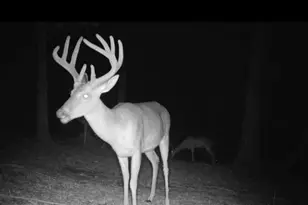 424 Cable Rd, Waleska, GA 30183 - Photo 61