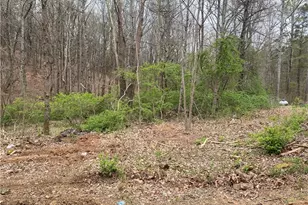 247 Tatum Rd, Talking Rock, GA 30175 - Photo 17