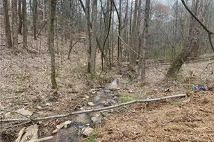 247 Tatum Rd, Talking Rock, GA 30175 - Photo 5