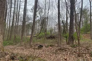 247 Tatum Rd, Talking Rock, GA 30175 - Photo 25