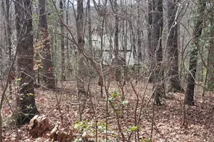 392 Beaver Ridge Rd, Jasper, GA 30143 - Photo 53