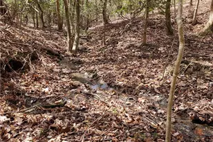 392 Beaver Ridge Rd, Jasper, GA 30143 - Photo 45