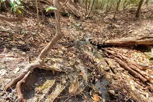 392 Beaver Ridge Rd, Jasper, GA 30143 - Photo 43