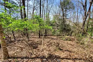 392 Beaver Ridge Rd, Jasper, GA 30143 - Photo 33