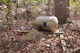 392 Beaver Ridge Rd, Jasper, GA 30143 - Photo 47