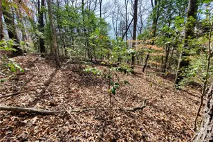 392 Beaver Ridge Rd, Jasper, GA 30143 - Photo 49