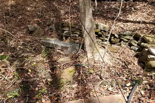 392 Beaver Ridge Rd, Jasper, GA 30143 - Photo 37