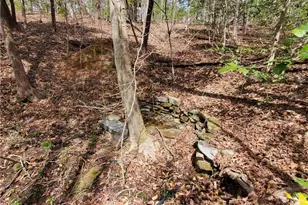 392 Beaver Ridge Rd, Jasper, GA 30143 - Photo 35