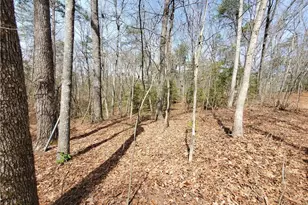 392 Beaver Ridge Rd, Jasper, GA 30143 - Photo 25