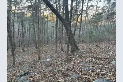 1135 Embry Court, Ranger, GA 30734 - Photo 3