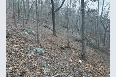 1135 Embry Court, Ranger, GA 30734 - Photo 5