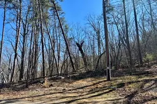 125 Gum Wood Ct, Waleska, GA 30183 - Photo 1