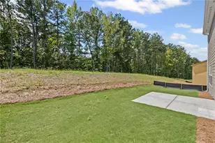 223 Sage Woods Way, Dallas, GA 30132 - Photo 31