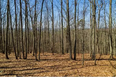 Lot 35 Heatherwood Way, Talking Rock, GA 30175 - Photo 1