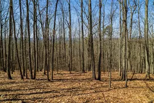 Lot 35 Heatherwood Way, Talking Rock, GA 30175 - Photo 1