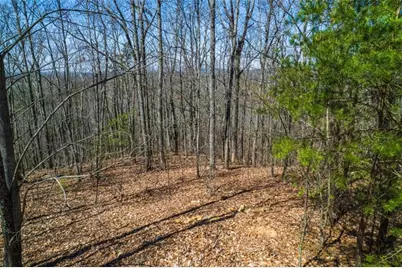 Lot 35 Heatherwood Way, Talking Rock, GA 30175 - Photo 17