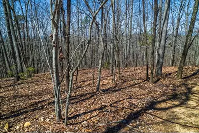 Lot 35 Heatherwood Way, Talking Rock, GA 30175 - Photo 19