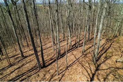 Lot 35 Heatherwood Way, Talking Rock, GA 30175 - Photo 13