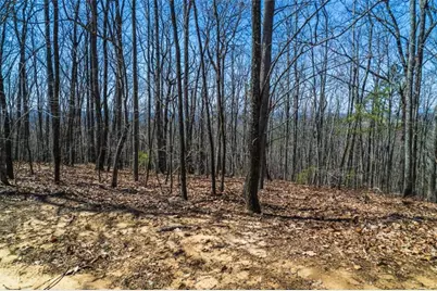 Lot 35 Heatherwood Way, Talking Rock, GA 30175 - Photo 15