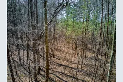 263 Principal Meridian Drive, Dallas, GA 30132 - Photo 7