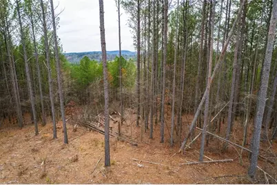 Lt 112 Blalock Mountain Road, Talking Rock, GA 30175 - Photo 9